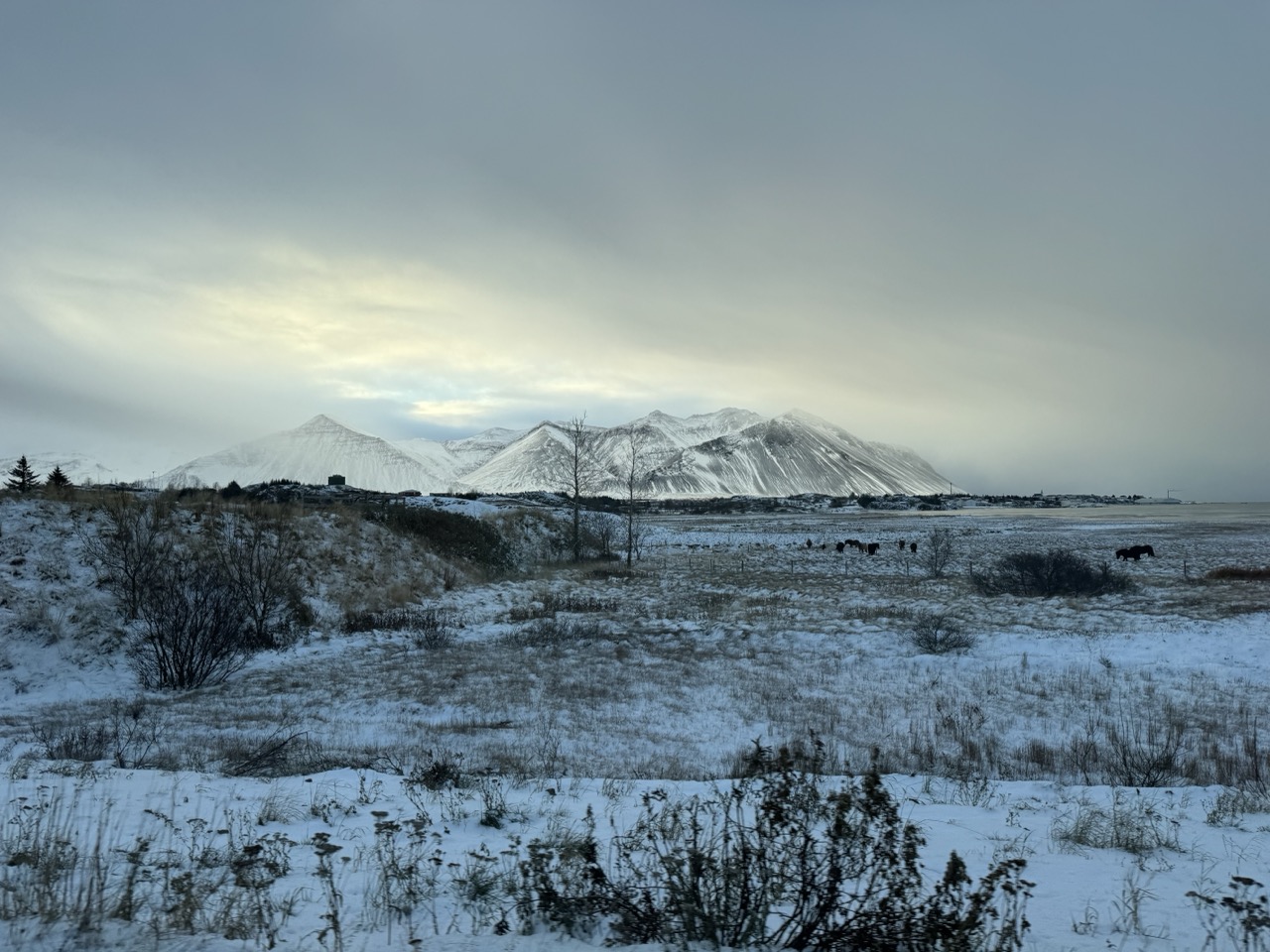 Jour 3 – Le cercle d’or